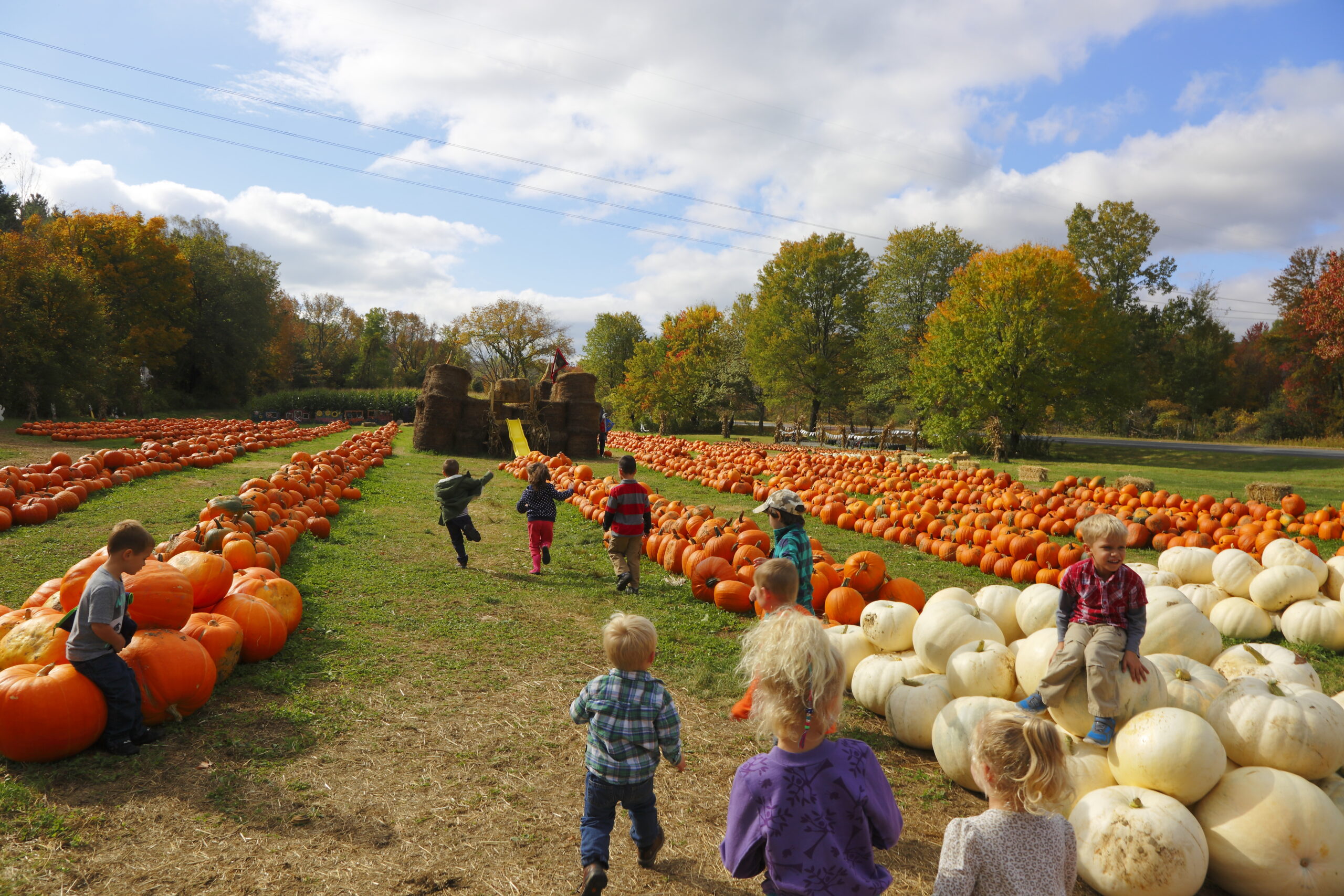 Berkshire Mountains, Massachusetts