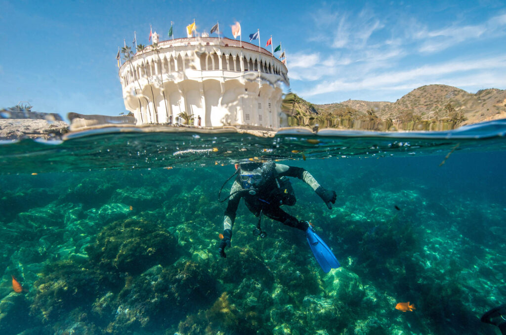 Diving off the coast of Santa Catalina Island at Avalon Underwater Dive Park.
