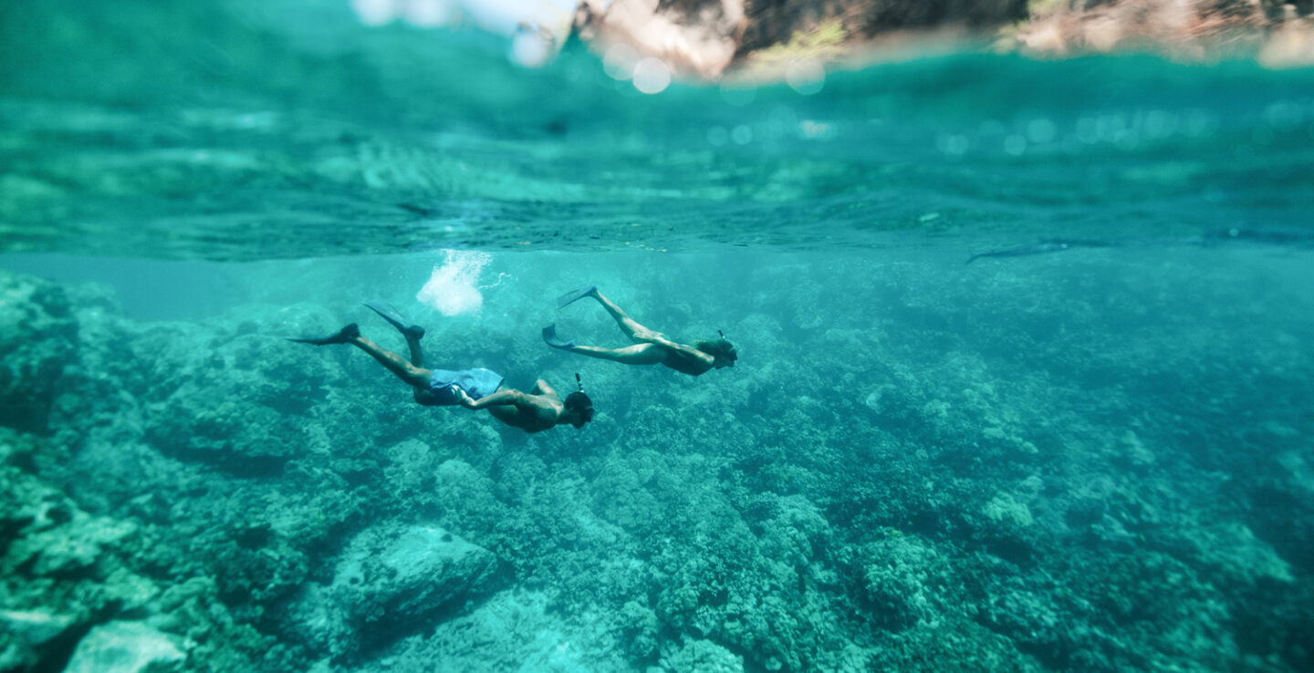 Snorkeling crystal-clear waters off the coast of Hawaiʻi. Credit: Island of Hawaii Visitors Bureau