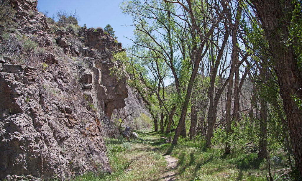 A trail cutting between forest and rock in Beaver Dam State Park
