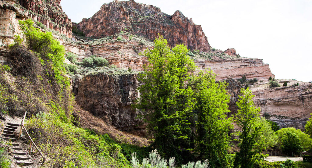 Lush vegetation among the multi-hued rocks at Kershaw-Ryan State Park
