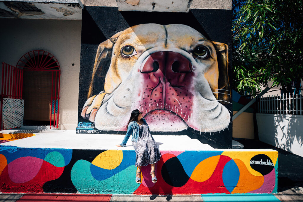 Santurce es Ley street art festival in San Juan, Puerto Rico
Photo Credit: Discover Puerto Rico

