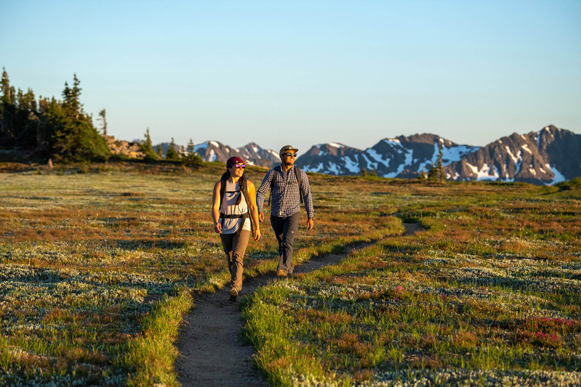 Parc national Olympic près de Port Angeles, Washington; Crédit : Jason Hummel