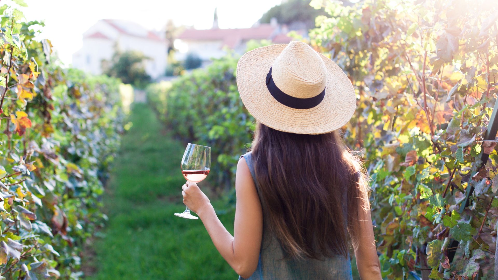 포도밭에 있는 여자