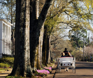 Le quartier historique de Columbus, au Mississippi