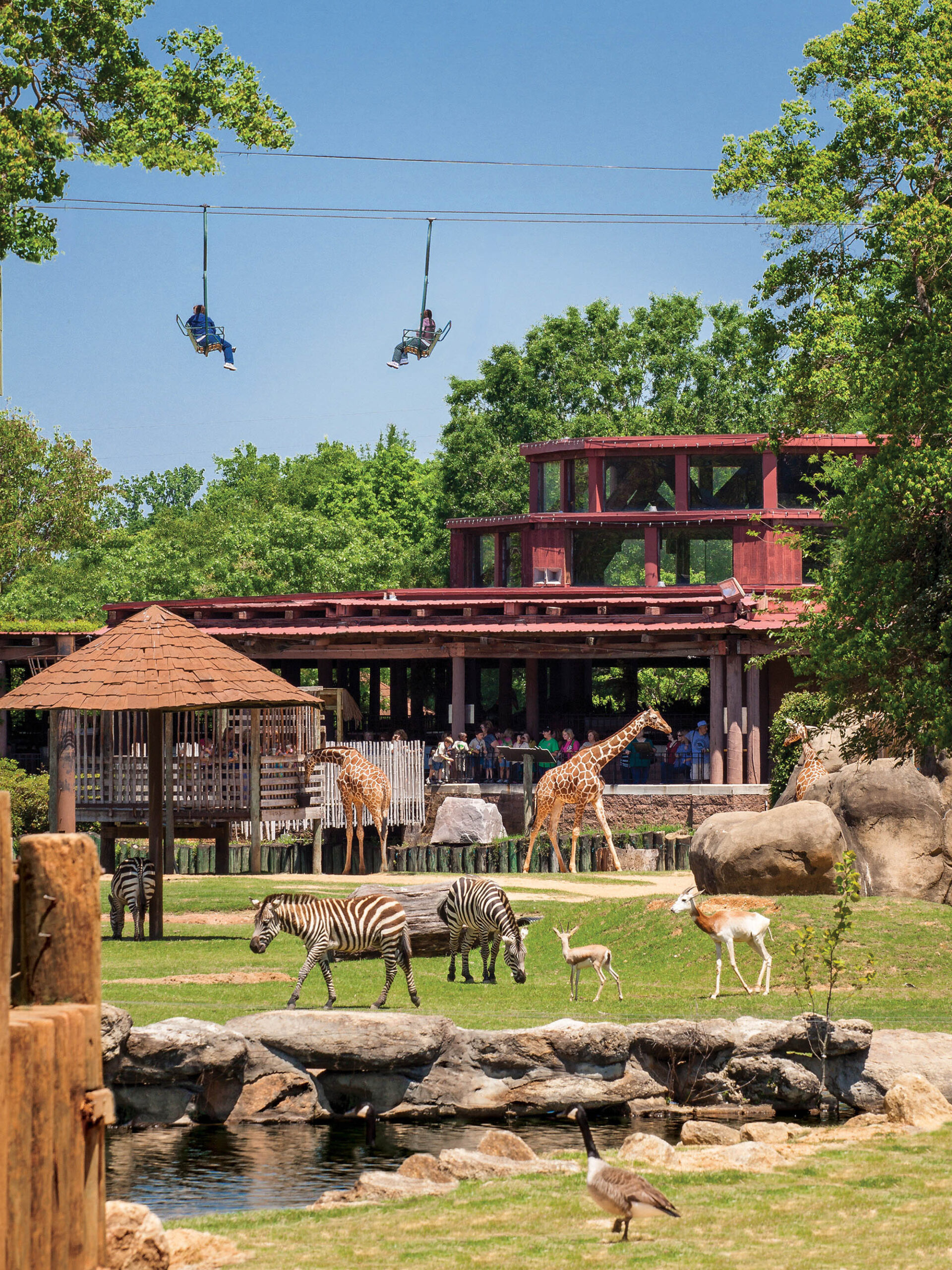 Views from the Zoofari Sky Lift at the Montgomery Zoo in Montgomery, Alabama
