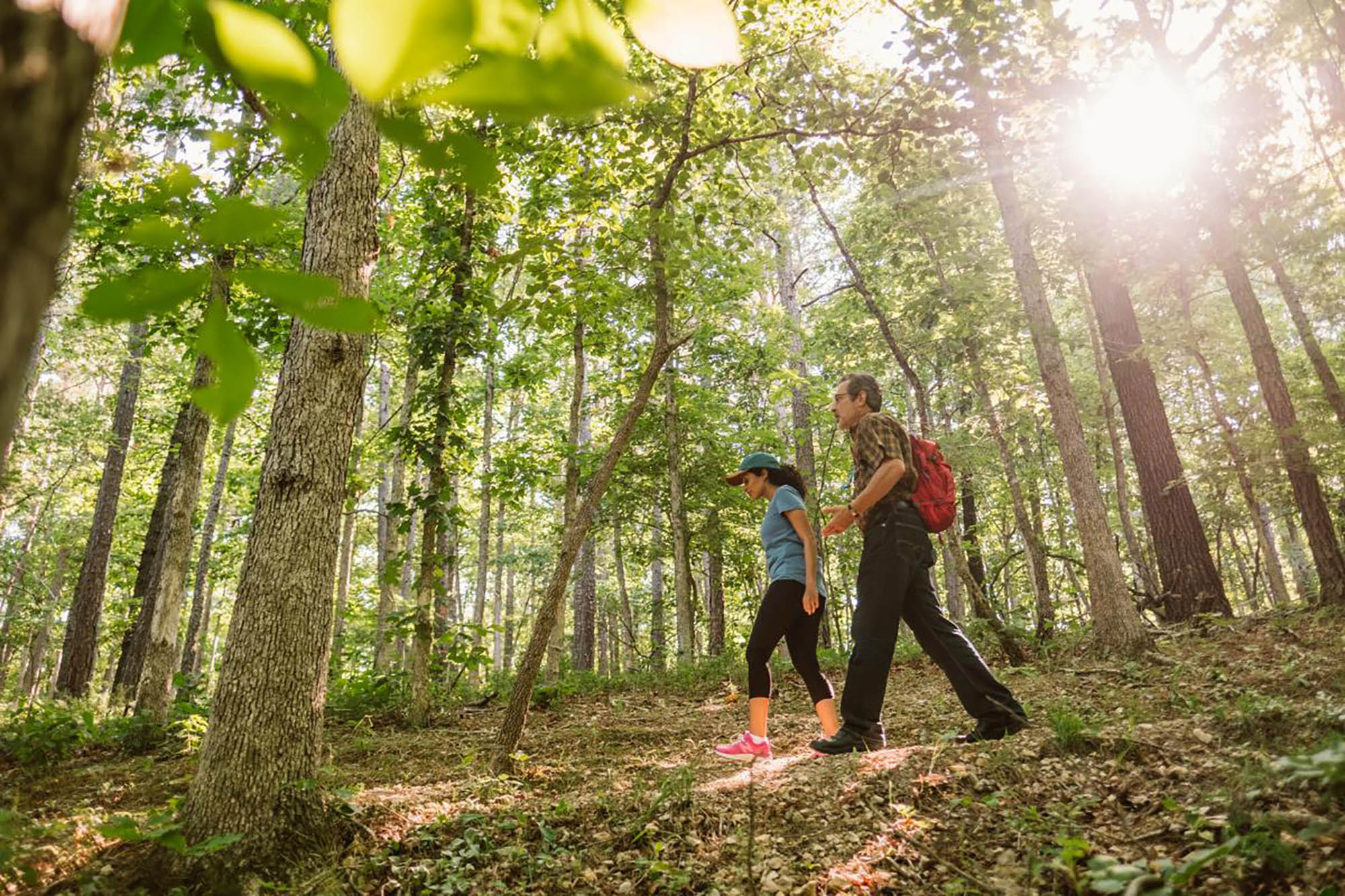 Randonnée dans le parc d'État et la zone de conservation de Hobbs, dans le nord-ouest de l'Arkansas