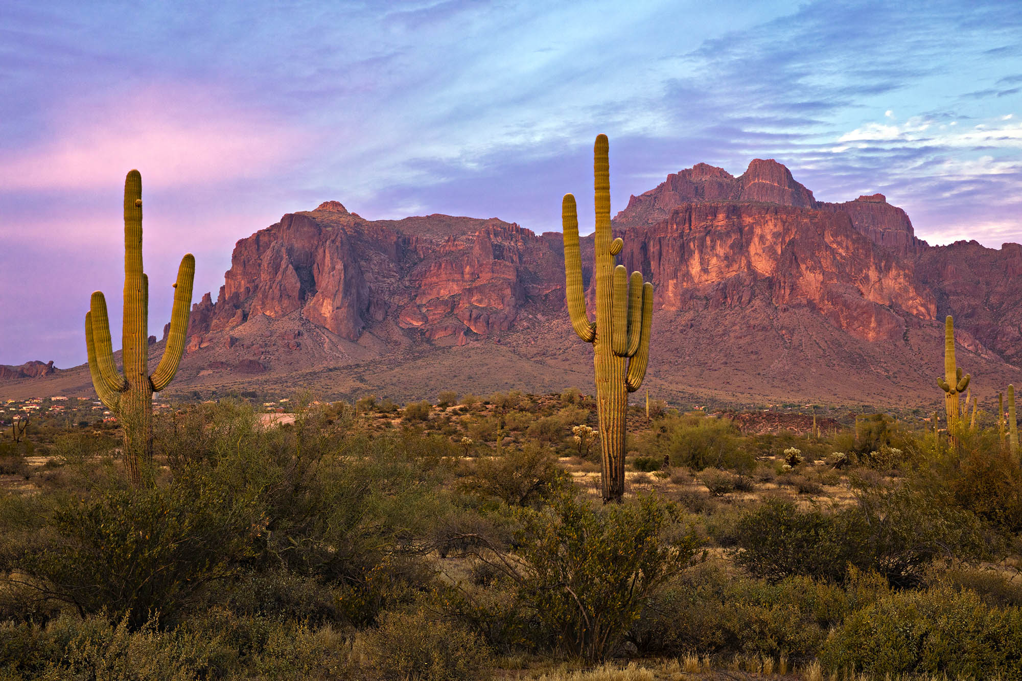 Tramonto nel deserto di Sonora, nei pressi delle Superstition Mountains, in Arizona.
