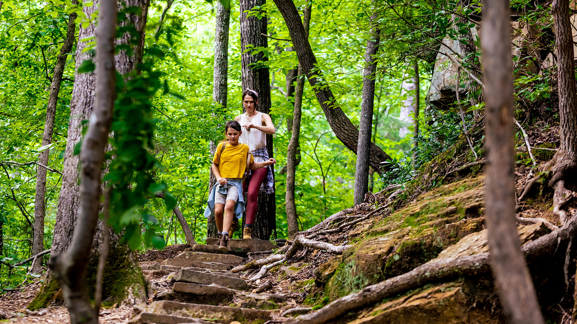 Excursión familiar en Mississippi