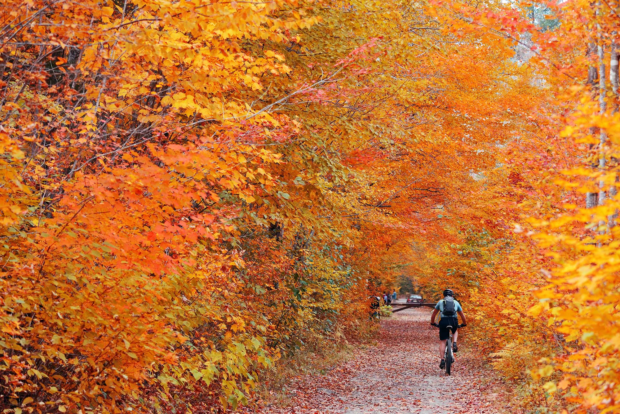 Biking a flat, foliage-lined trail in Stowe, Vermont