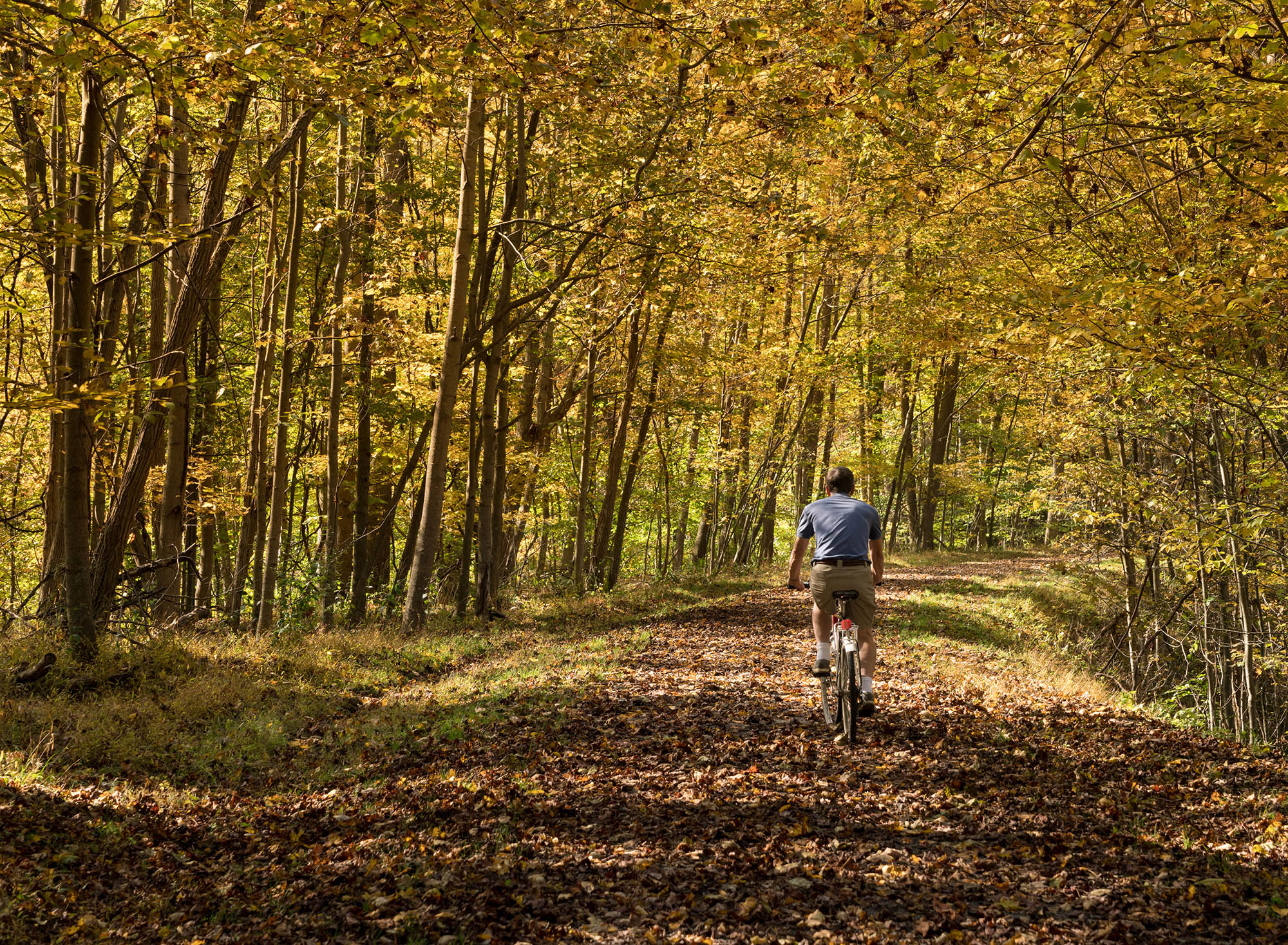 Deckers Creek Trail in Morgantown, West Virginia
