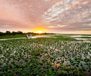 Everglades National Park near Homestead, Florida