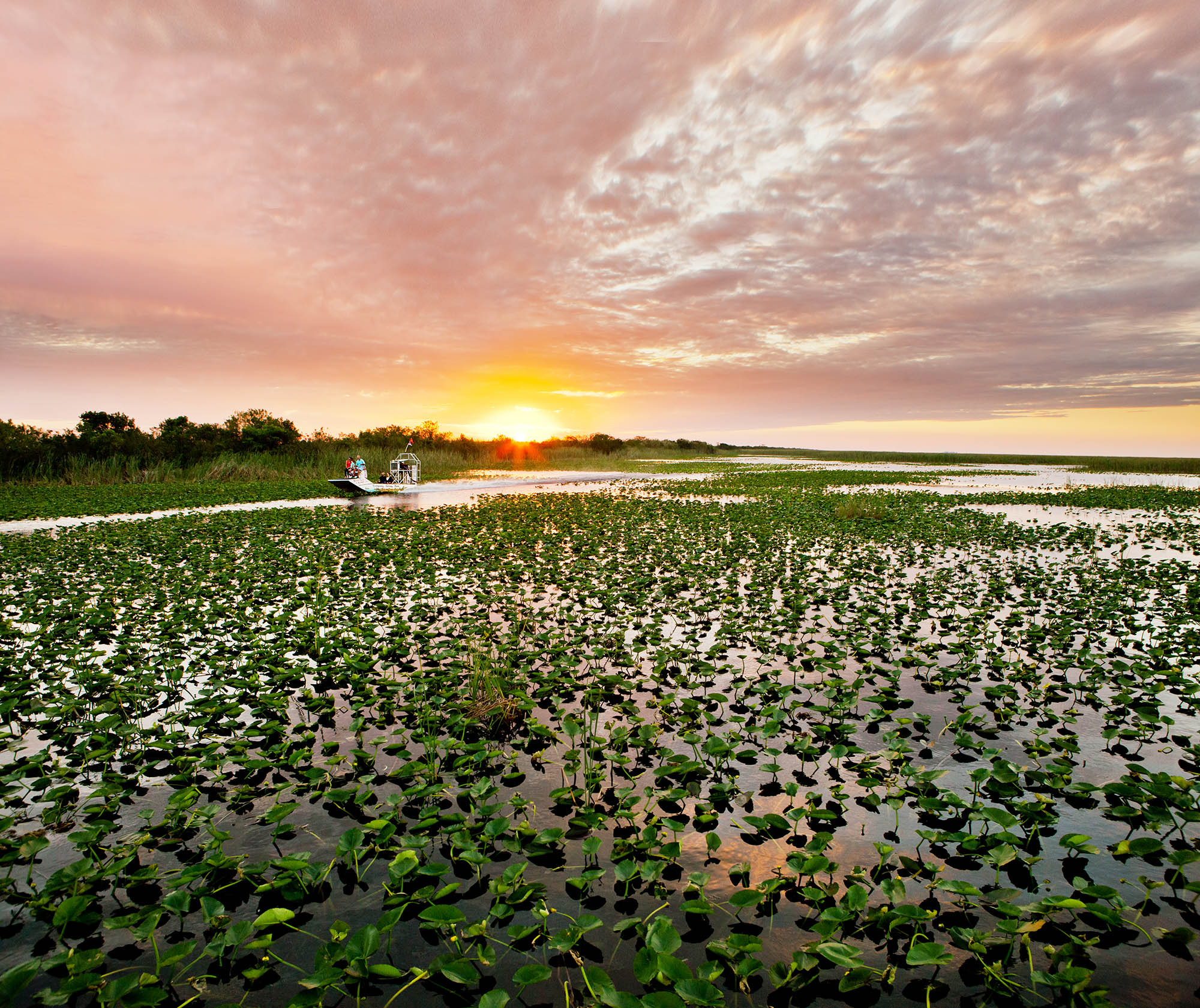 Everglades National Park near Homestead, Florida