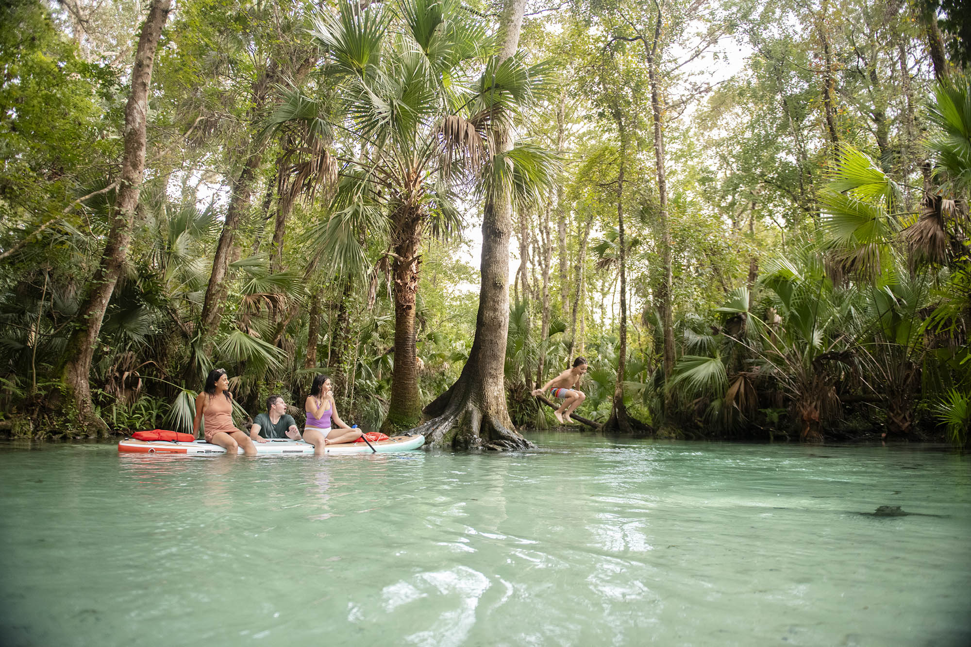 Rock Springs near Apopka, Florida
