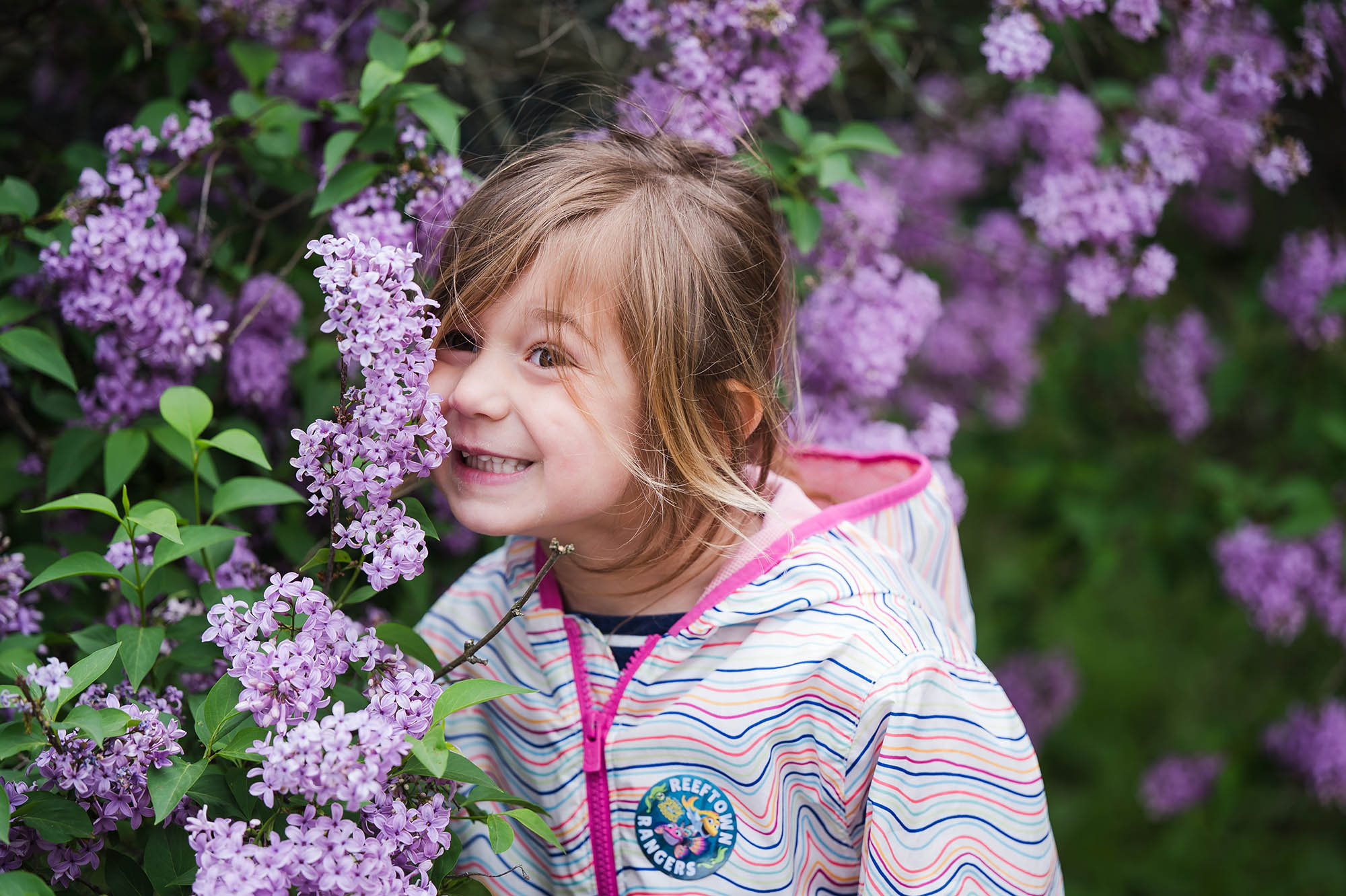 Rochester Lilac Festival in Rochester, New York; Credit: North Glow Photography
