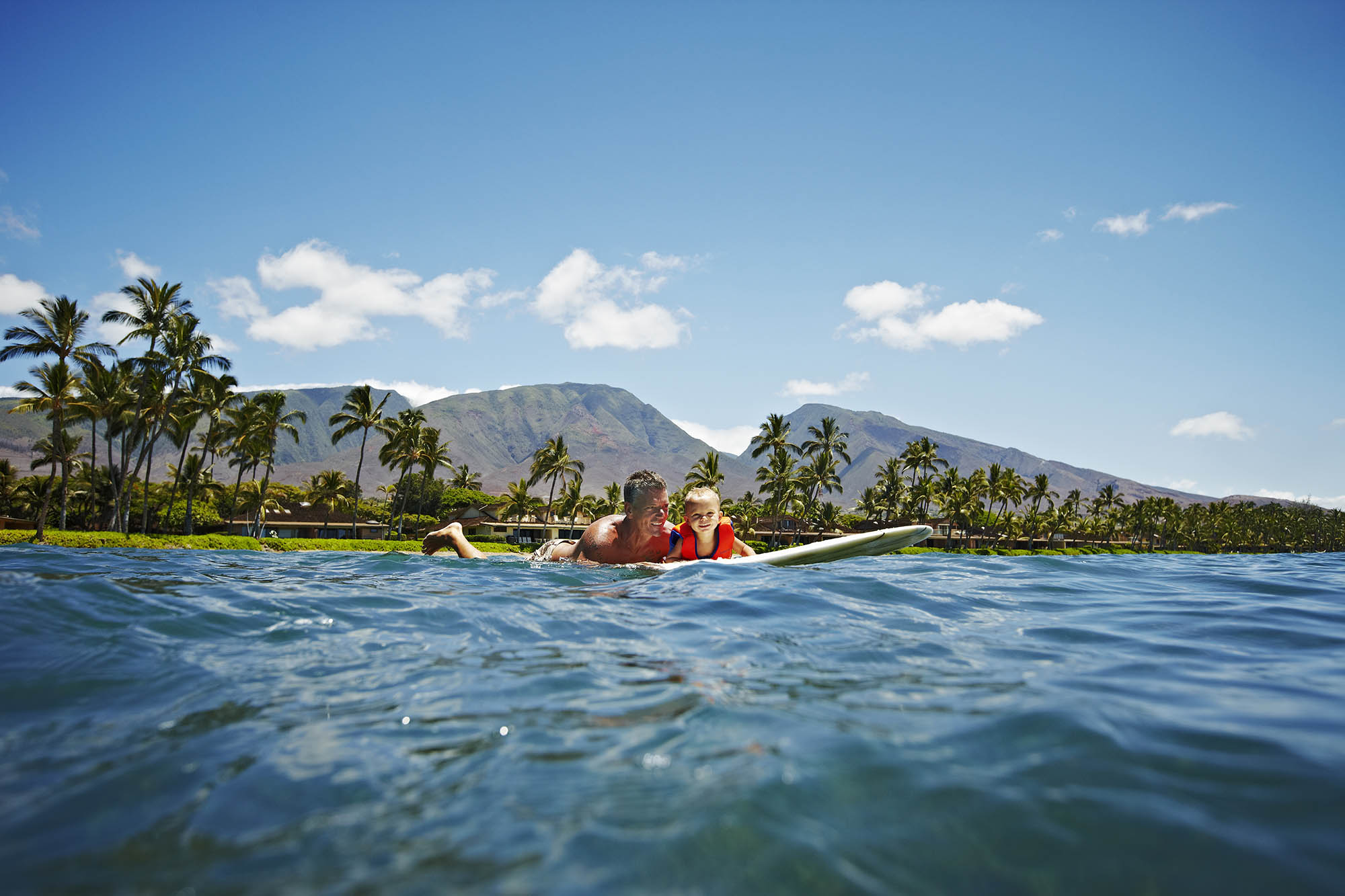 View of Mauna Kahālāwai on Maui, Hawaiʻi