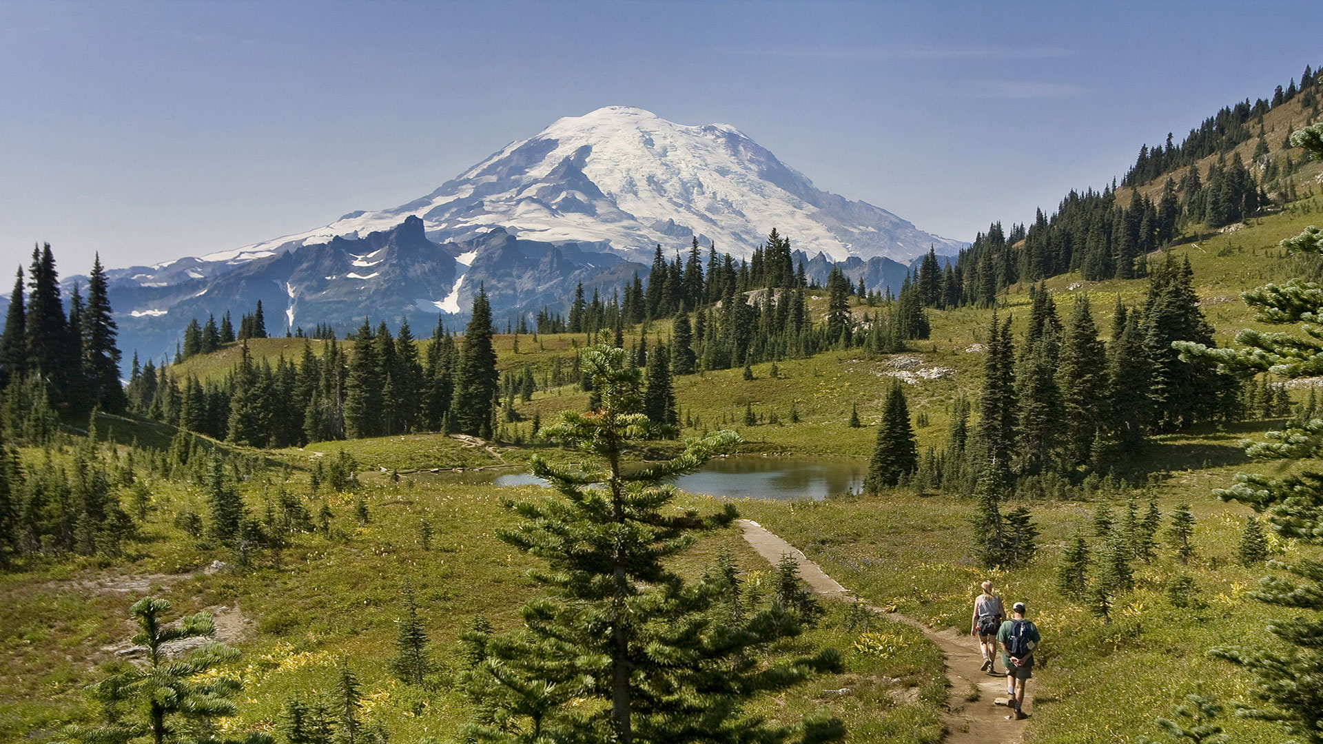 Mount Rainier National Park near Ashford, Washington