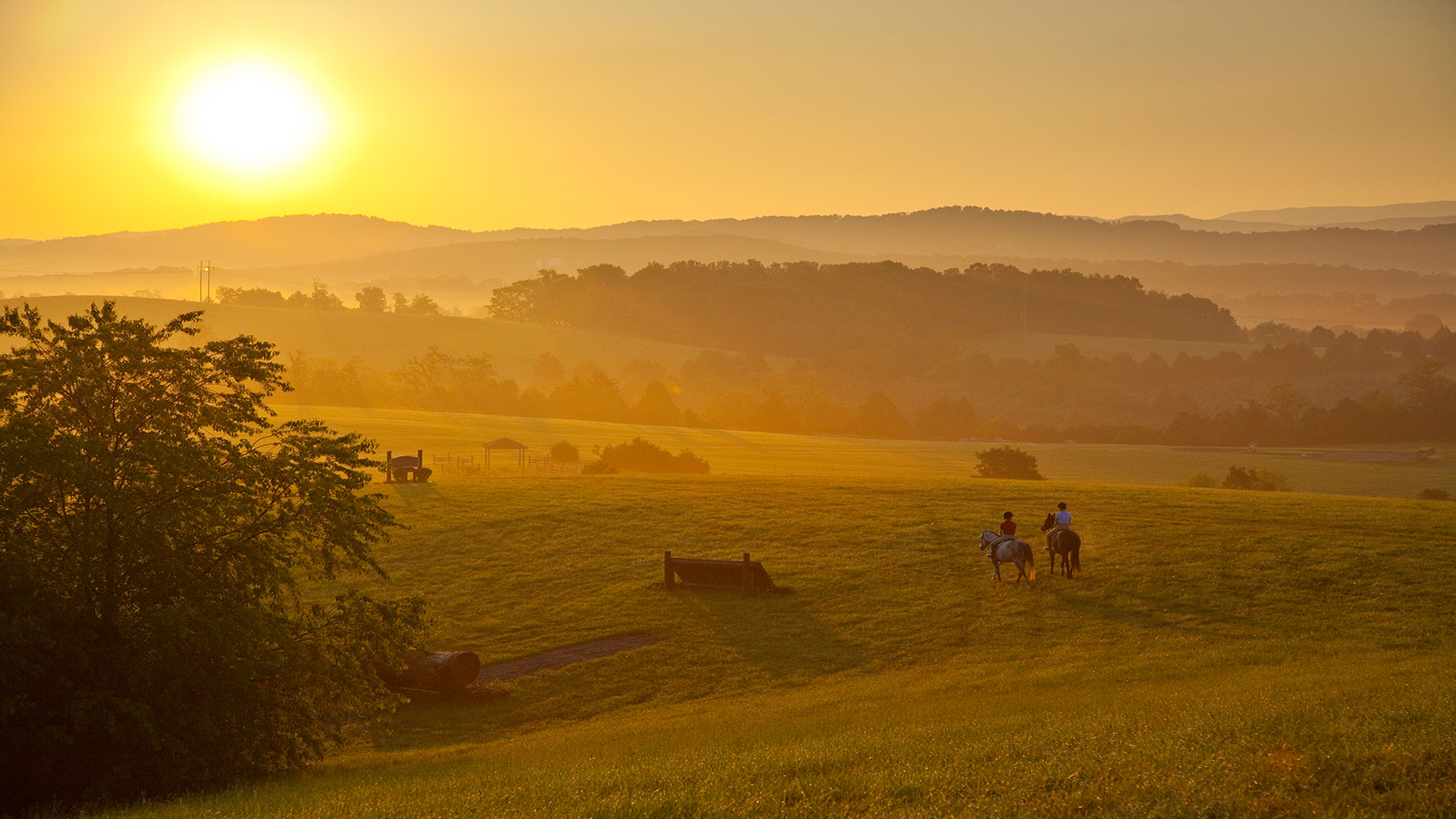 Visitors at the Virginia Horse Center in Lexington, Virginia