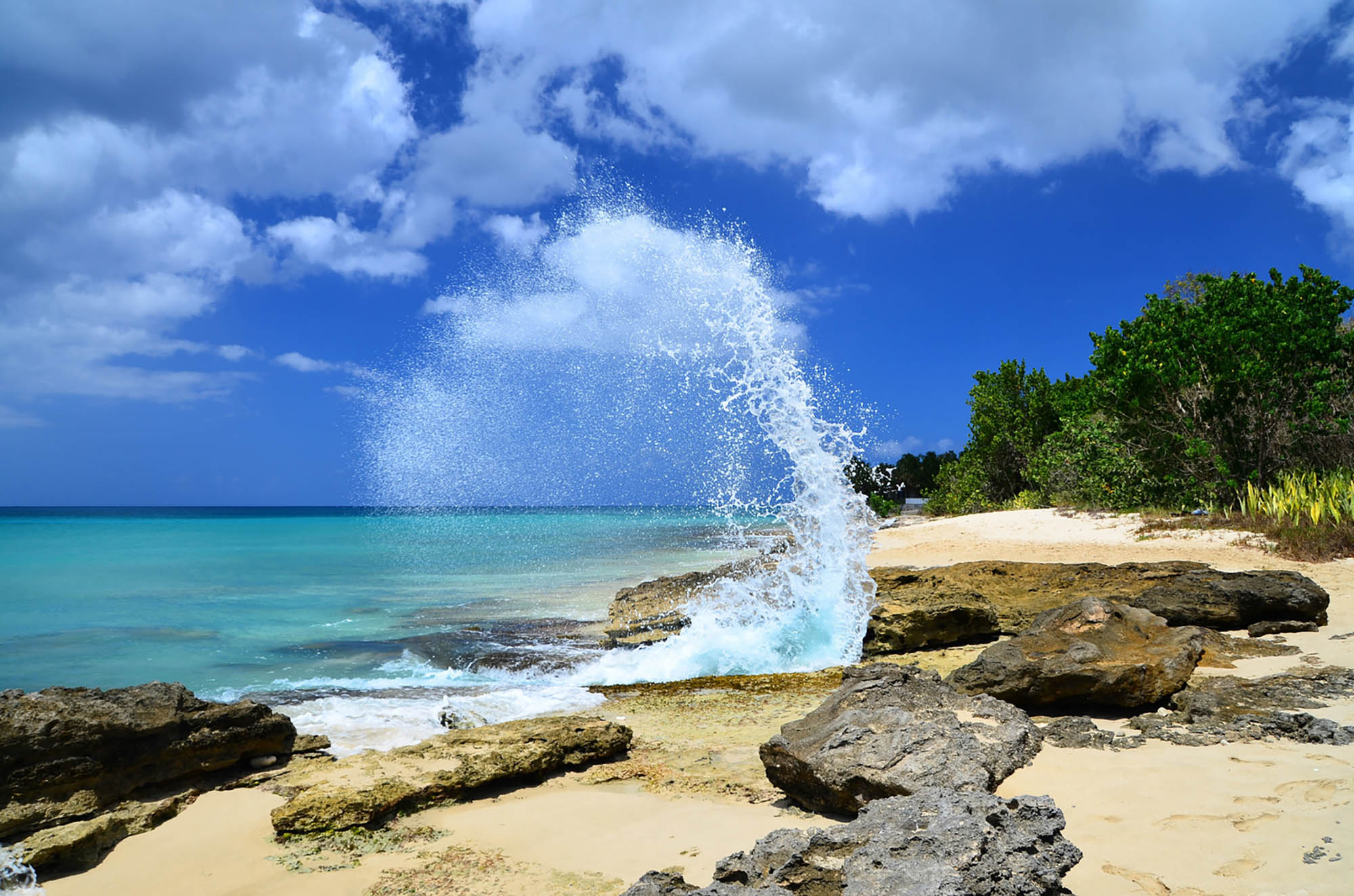 Las olas rompiendo en la orilla de la playa de Frederiksted, en Santa Cruz, Islas Vírgenes de Estados Unidos; Crédito: wolfso