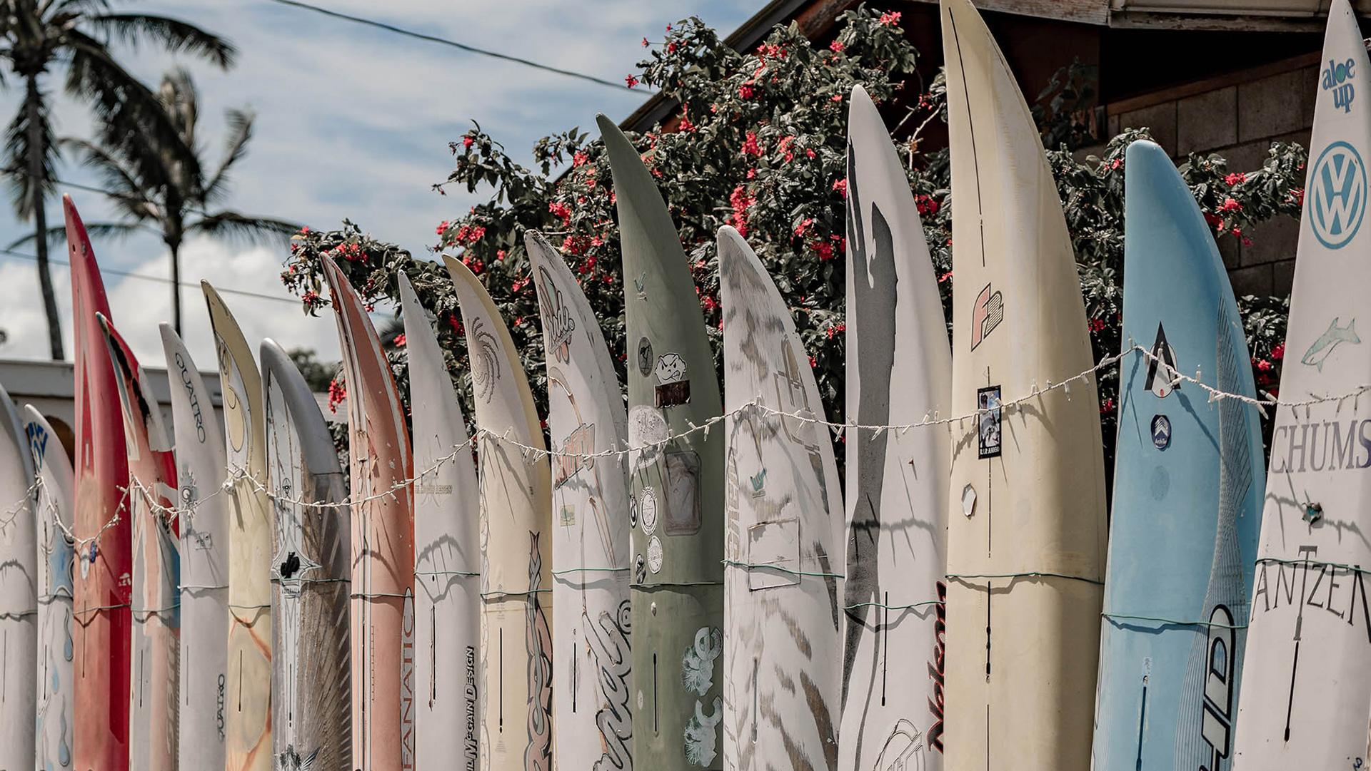 A palette of surfboards in Pāʻia Town on Maui, Hawaiʻi; Credit: Maui Visitors & Convention Bureau