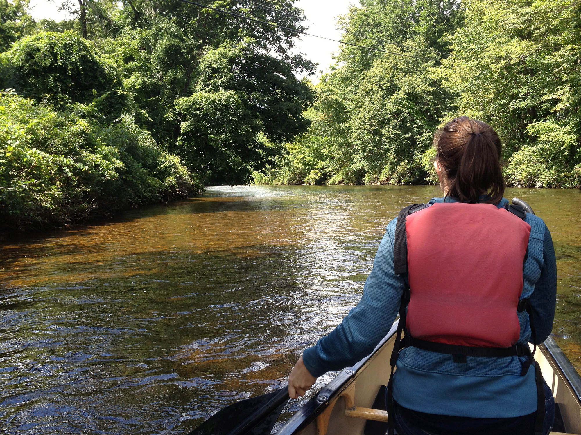 Surrounded by lush vegetation on a scenic canoe outing near Burlington, Vermont