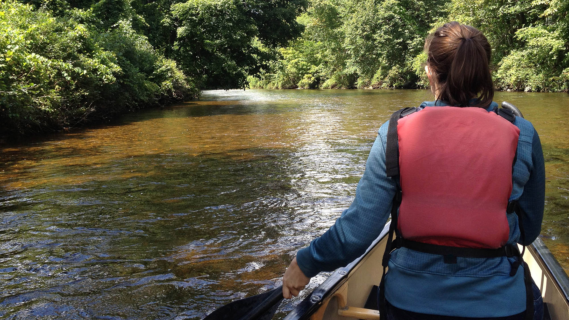Surrounded by lush vegetation on a scenic canoe outing near Burlington, Vermont
