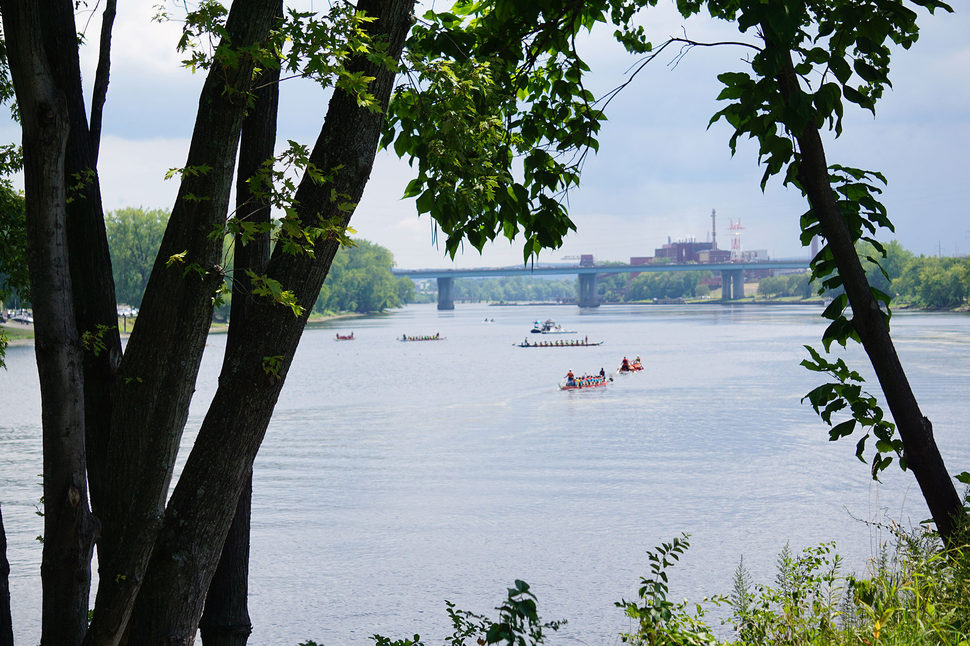 Participants of the Dragon Boat Festival on the Connecticut River in Hartford, Connecticut
