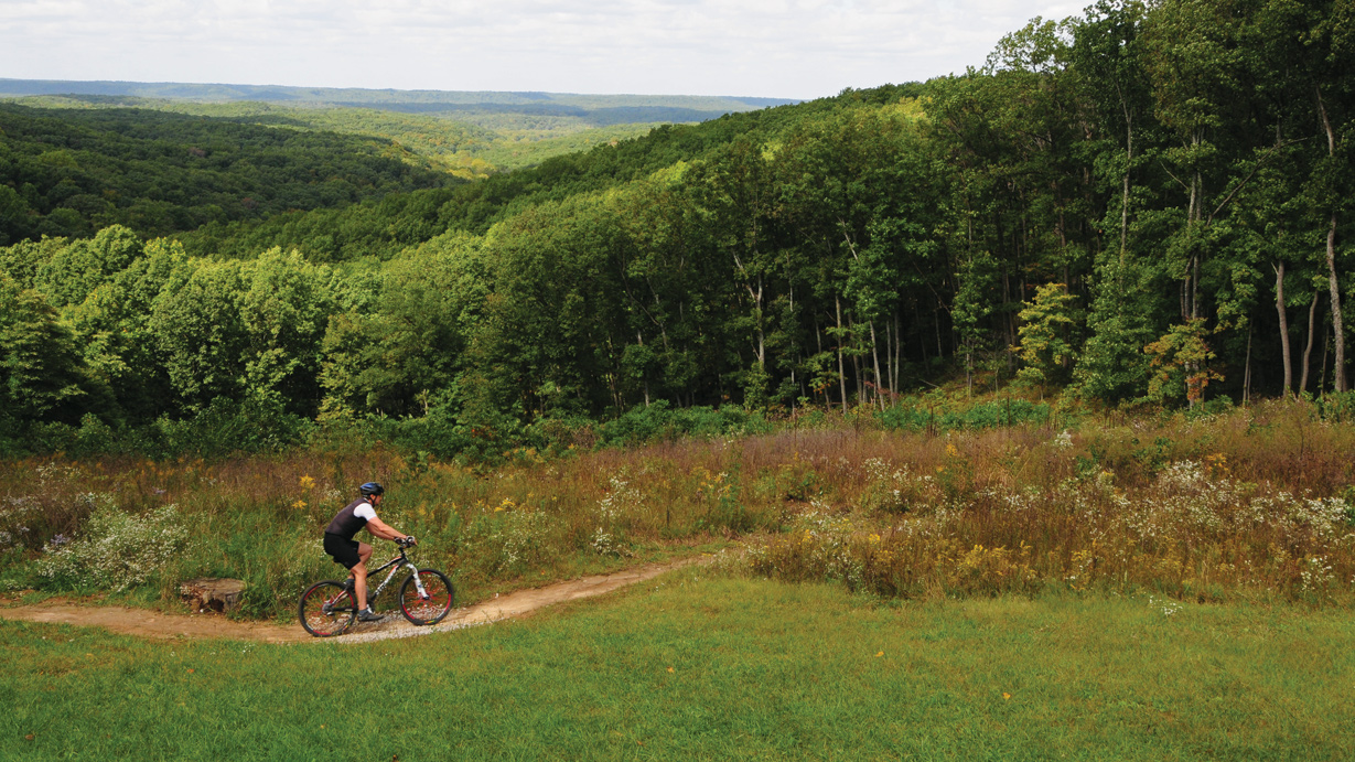 Brown County State Park near Nashville, Indiana