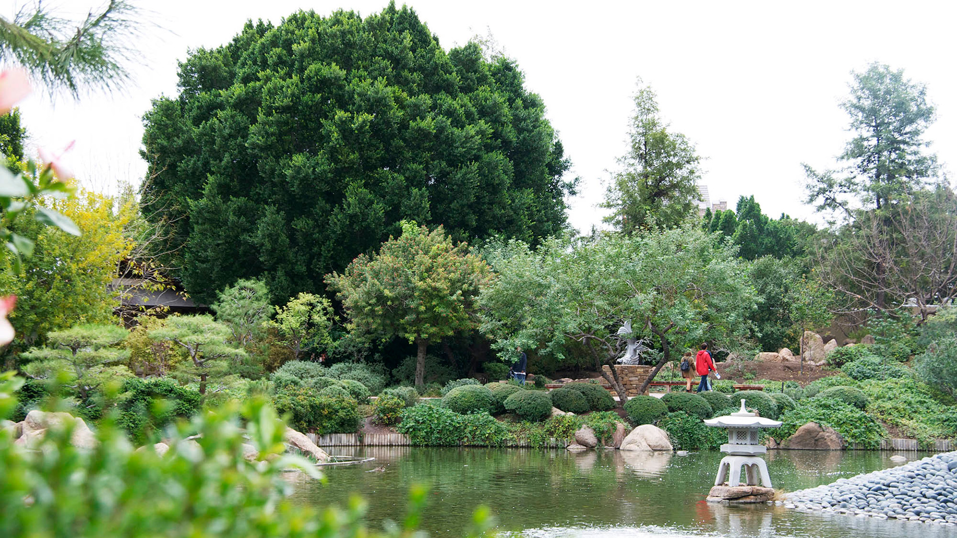 Explorer le Jardin de l’amitié japonais dans Phoenix, Arizona