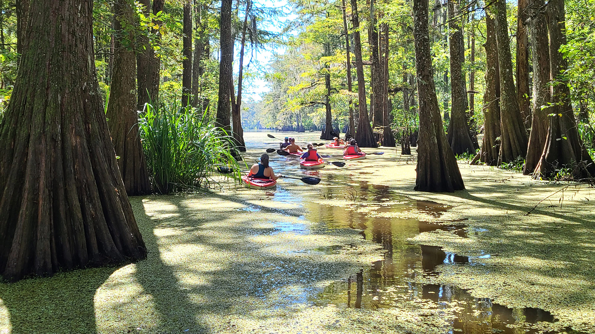 Last Wilderness Tours in Plaquemine, Louisiana