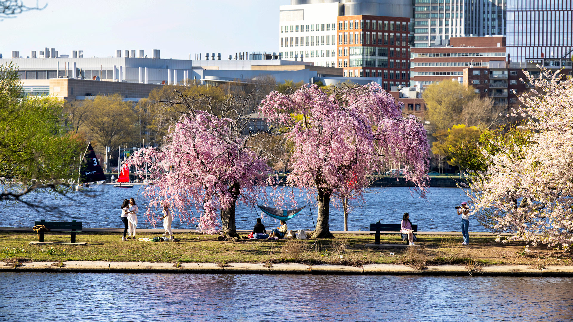 Charles River Esplanade in Boston , Massachusetts Bildnachweis: Kyle Klein