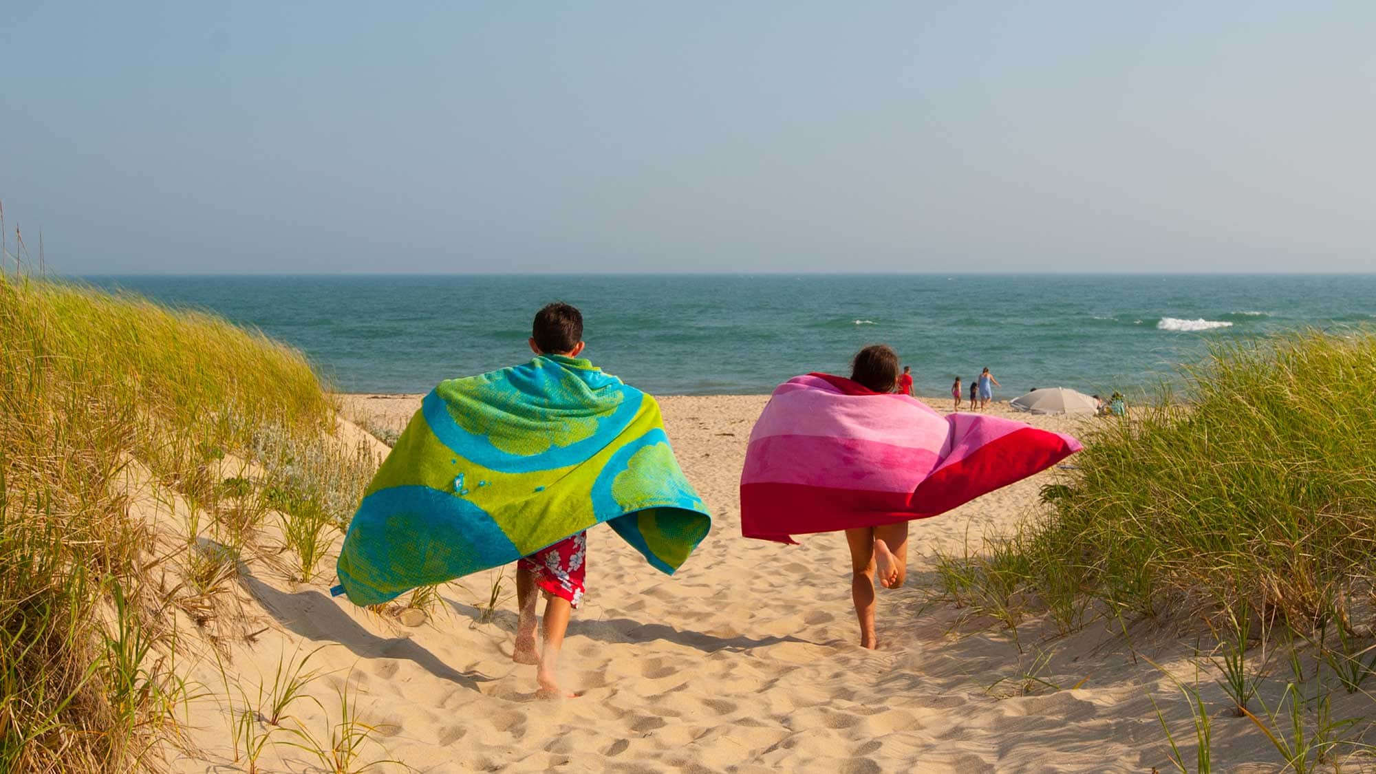 Courir vers l'eau sur la plage de Katama, Martha's Vineyard, Massachusetts ; Avec l'aimable autorisation de l'Office du tourisme du Massachusetts