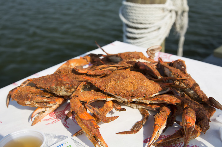 Il granchio blu nel Maryland