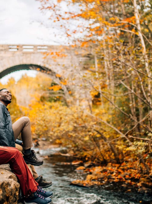 Fall foliage in Acadia National Park, Maine