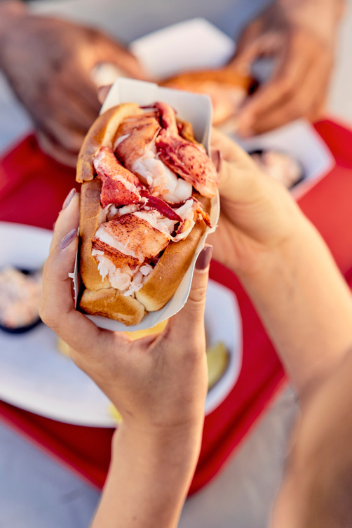 Lobster roll in Maine