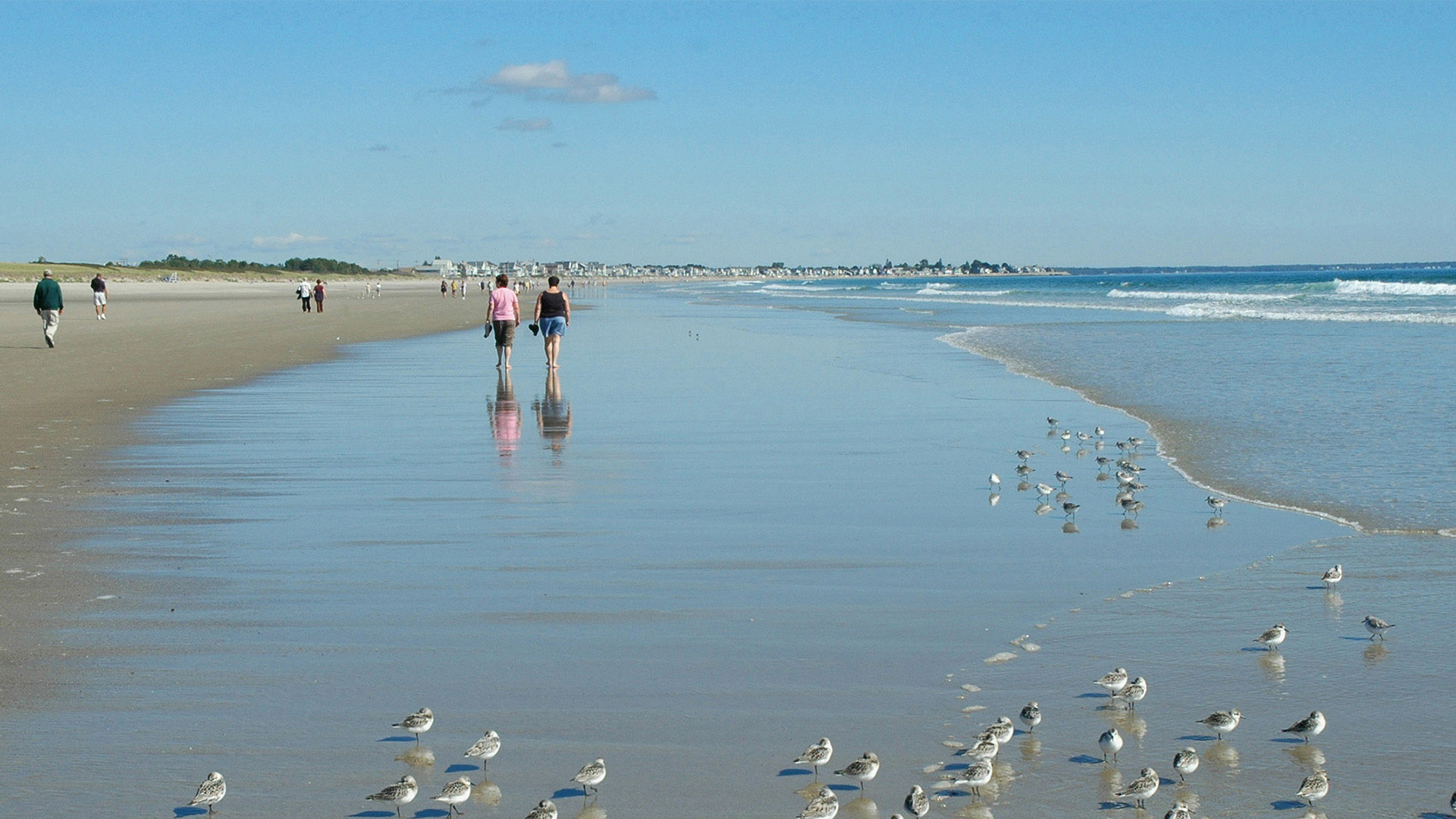 Caminhando pela Ogunquit , Maine