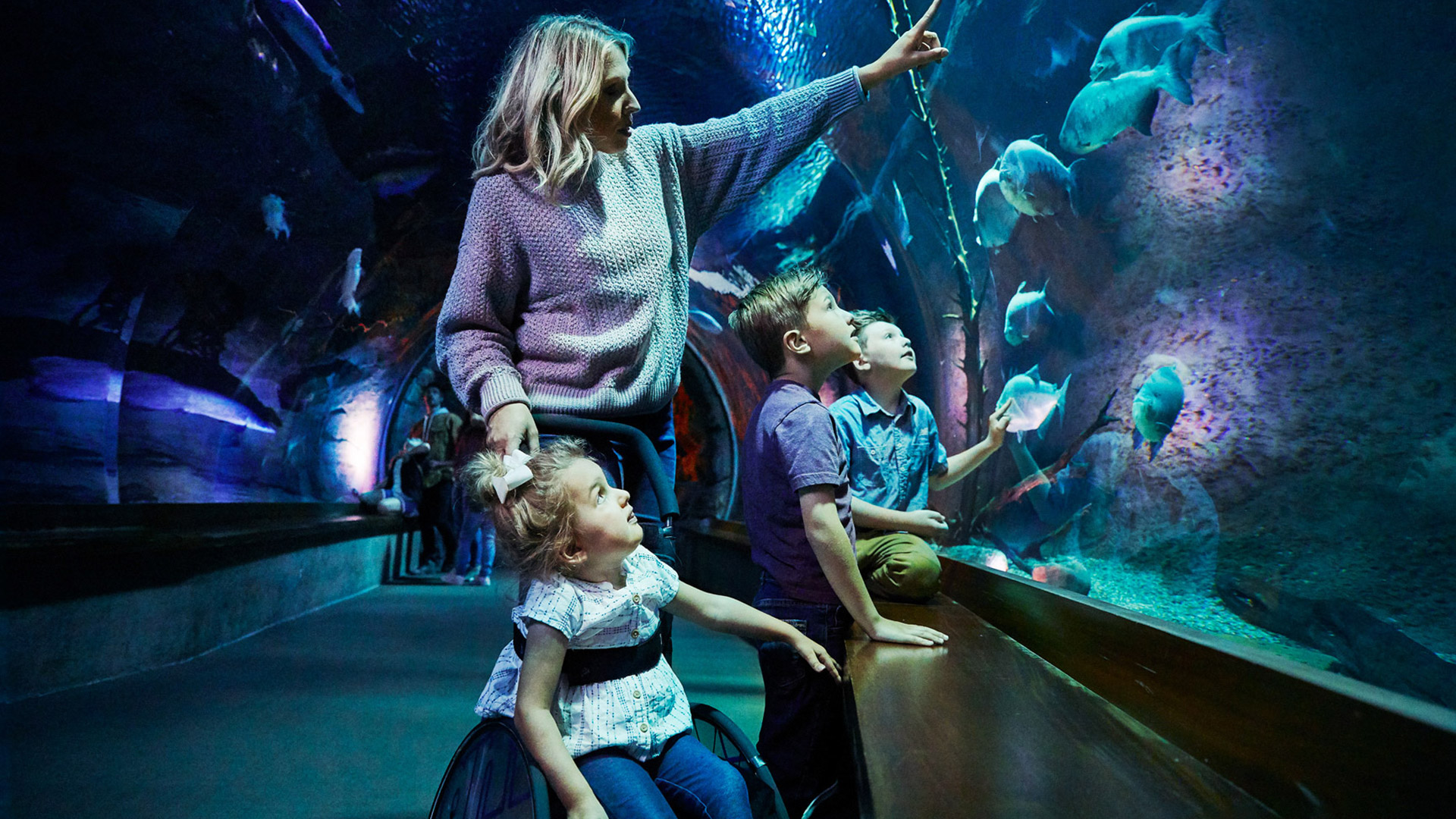 Family at the Wonder of Wildlife National Museum & Aquarium in Springfield, Missouri