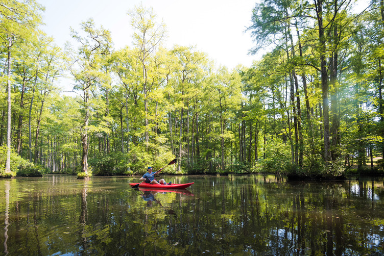 Robertson Millpond Preserve in Raleigh, North Carolina