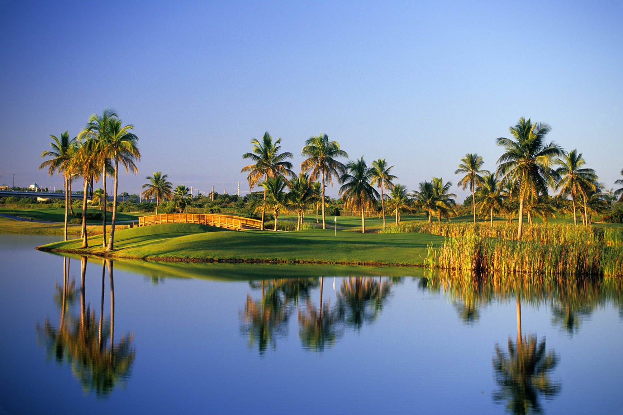 A scenic resort golf course in Ponce, Puerto Rico; Credit: Discover Puerto Rico