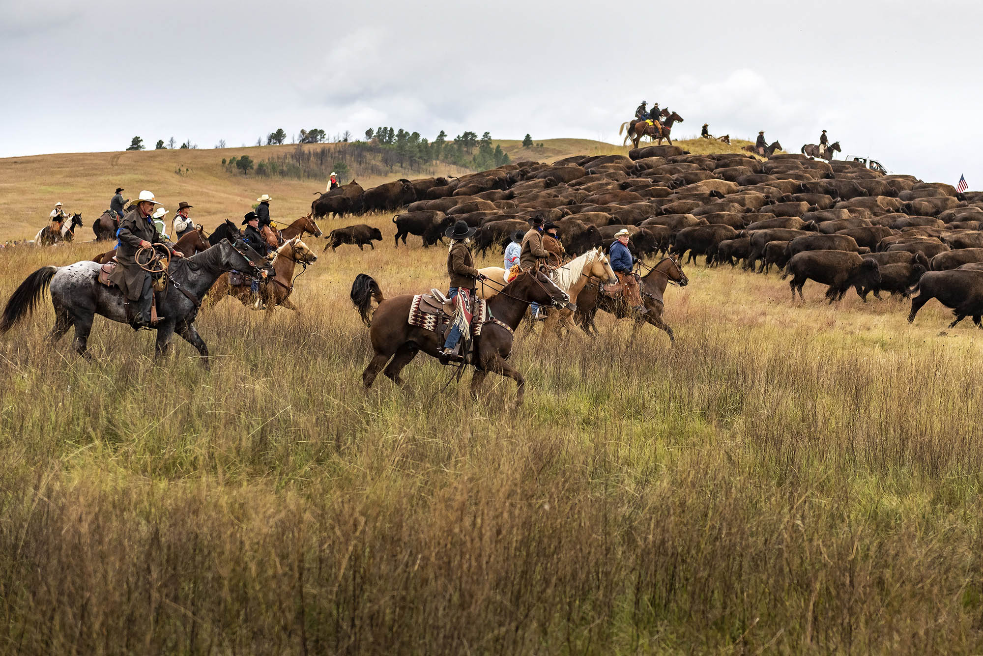 Custer State Park in the Black Hills of South Dakota
