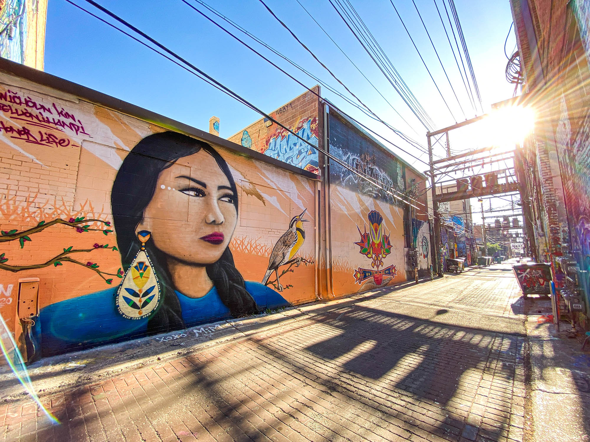 Art Alley in Downtown Rapid City, South Dakota
