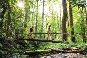 Hiking the Great Smoky Mountains, Tennessee ; Credit: Tennessee Department of Tourist Development