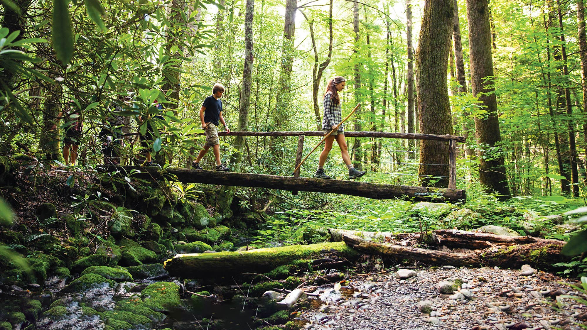 Hiking the Great Smoky Mountains, Tennessee