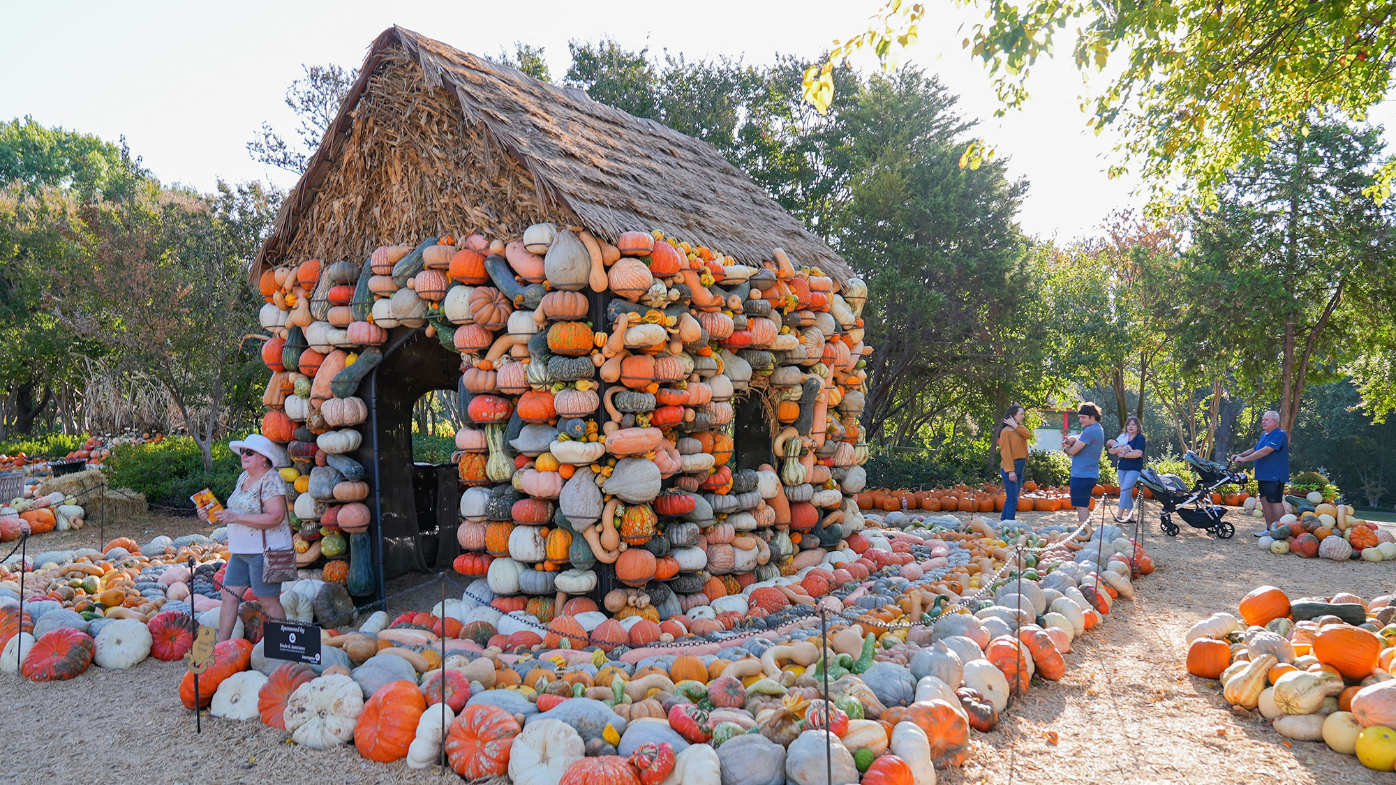 Exposición de otoño en el Arboreto y Jardín Botánico Dallas  Dallas( Texas