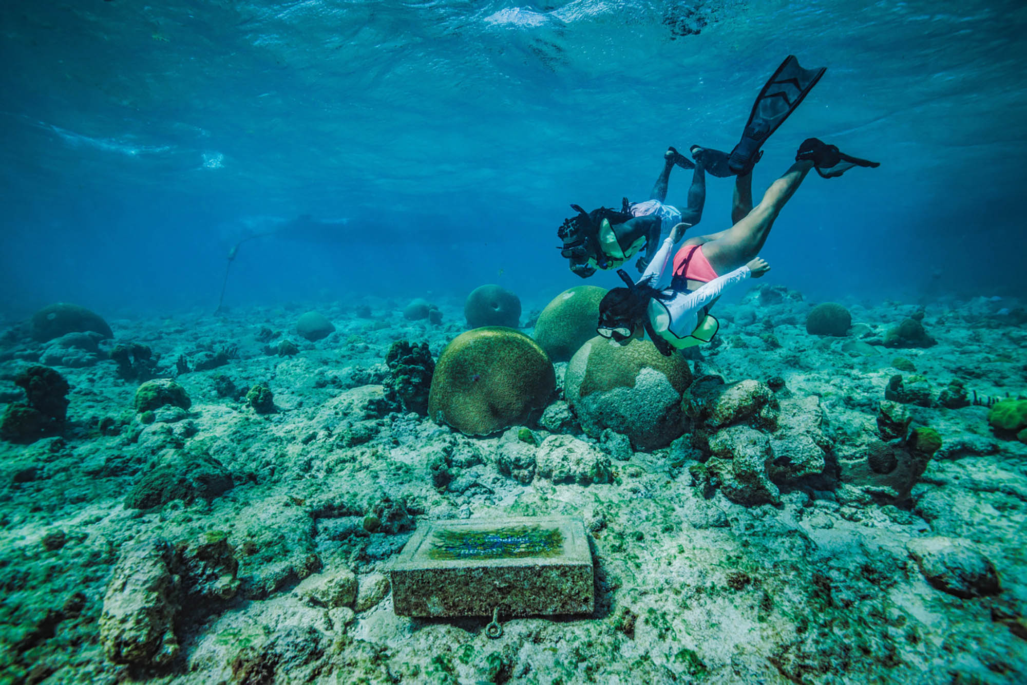 Personas practicando snorkel en el sendero submarino del Monumento Nacional del Arrecife de Buck Island, en Santa Cruz, Islas Vírgenes de Estados Unidos; Crédito: Sam Dean