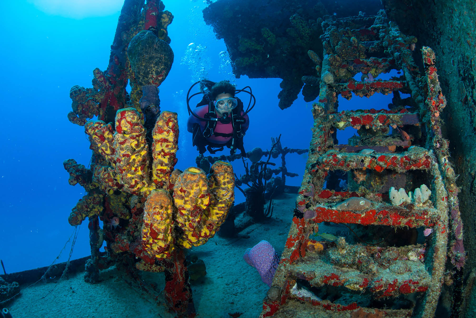 Buzo explorando un pecio frente a la costa de Santa Cruz, Islas Vírgenes de Estados Unidos; Crédito: Departamento de Turismo de las Islas Vírgenes de los Estados Unidos 