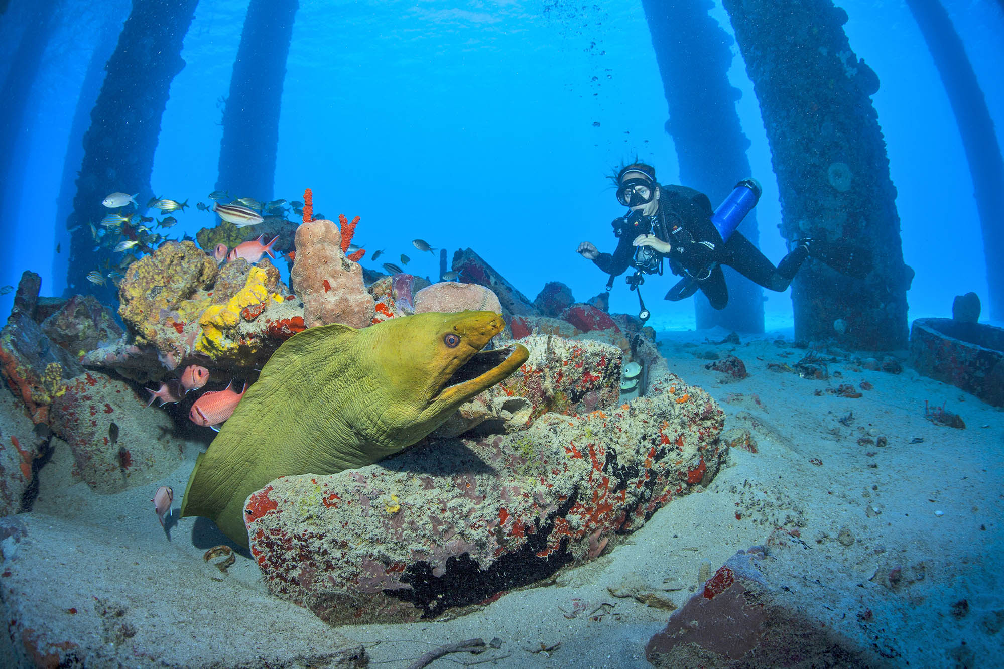 Immersioni al molo di Frederiksted, St. Croix