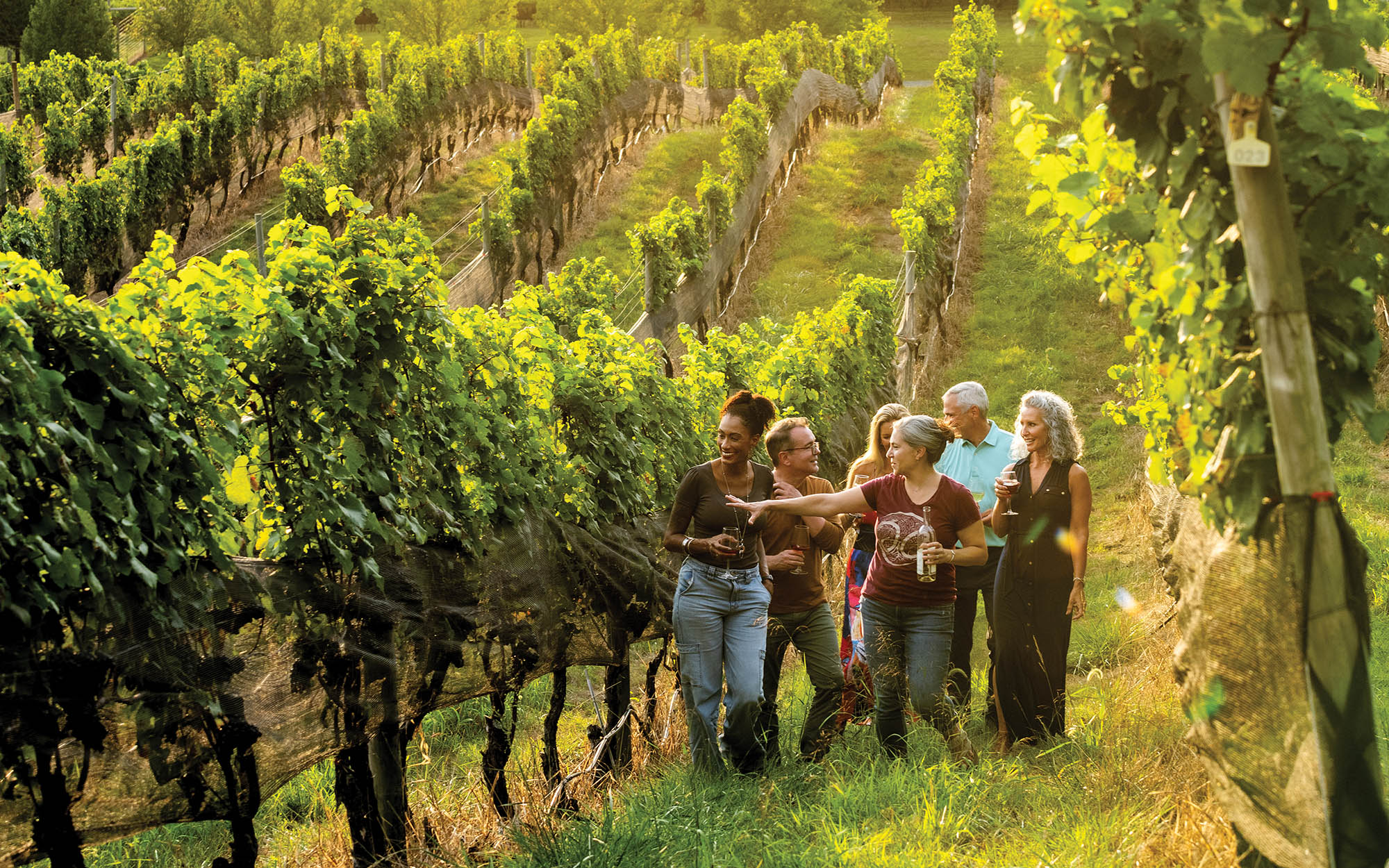 Strolling the Hillsborough Vineyards & Brewery in Virignia.