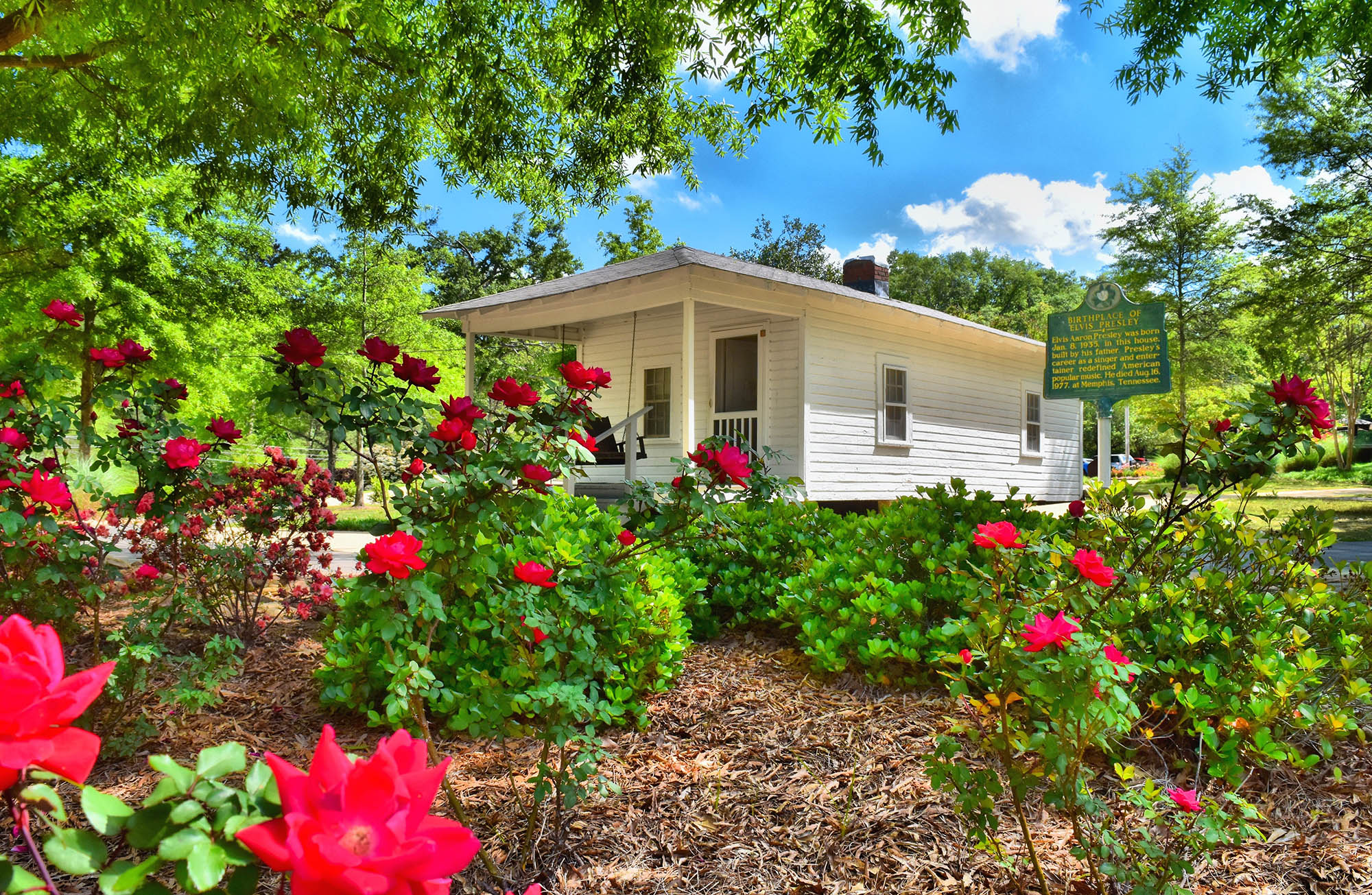 Blooming camellia bushes outside the Elvis Presley Birthplace in Tupelo, Mississippi; Credit: Visit Mississippi