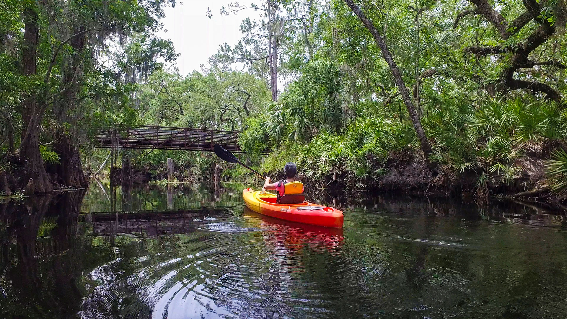 Ammirando il paesaggio su un kayak del Paddling Center di Shingle Creek a Kissimmee, in Florida.